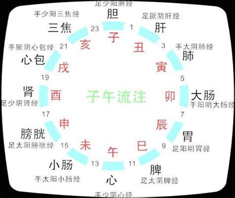 中醫時辰表|人體經絡十二時辰對照表，選對時間，經絡養生事半功。